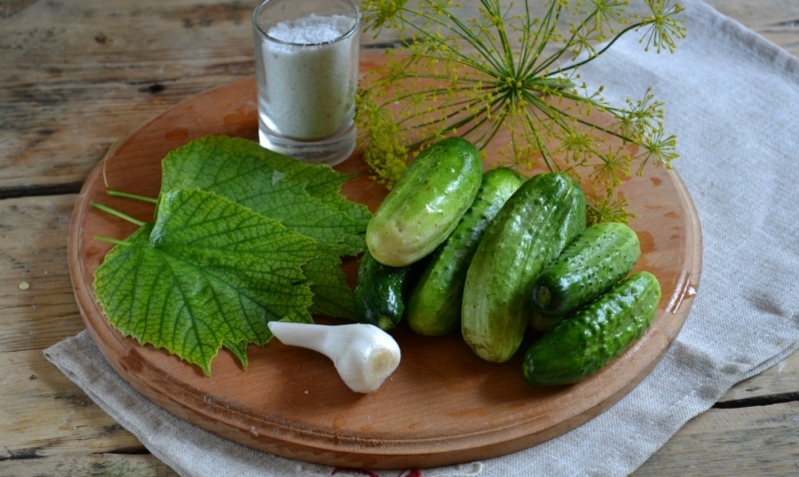 как посолить огурцы сорта майский на зиму