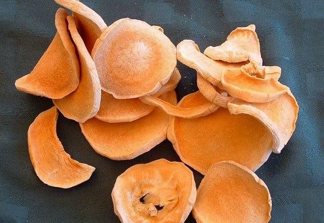 как сушить тыкву в электросушилке