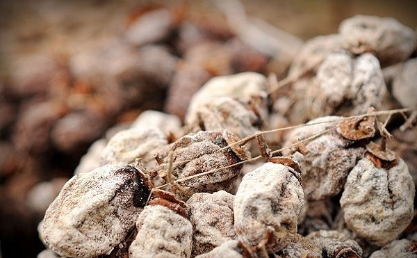 сушить хурму в электросушилке