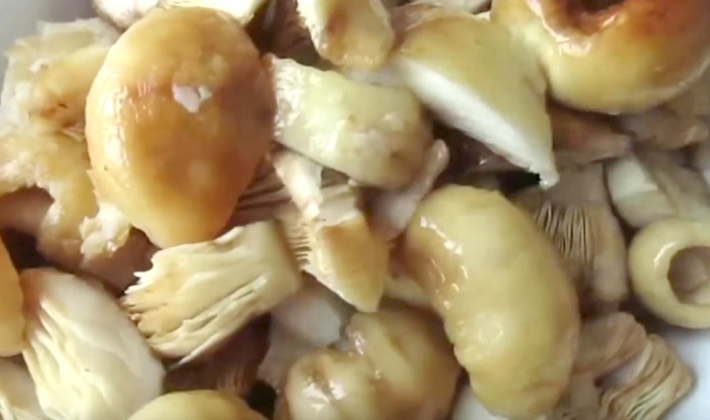 валуи маринованные на зиму рецепты приготовления