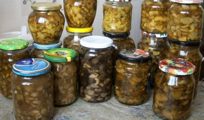 валуй гриб как готовить