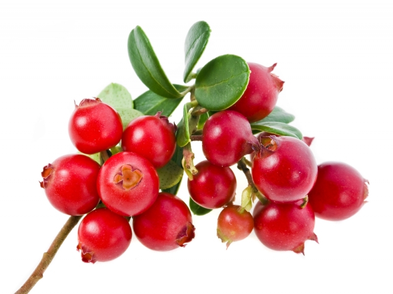 варенье из боярышника на зиму рецепт