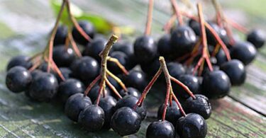 Варенье из черноплодной рябины