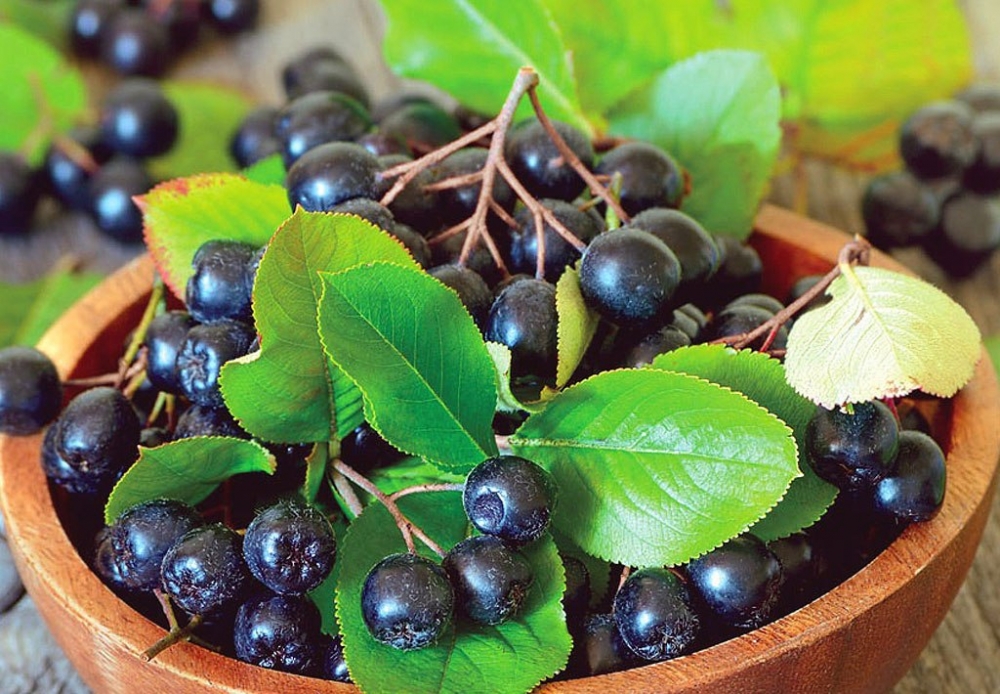 варенье из черноплодки с яблоками на зиму