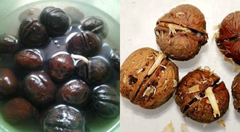 ореховое варенье рецепт