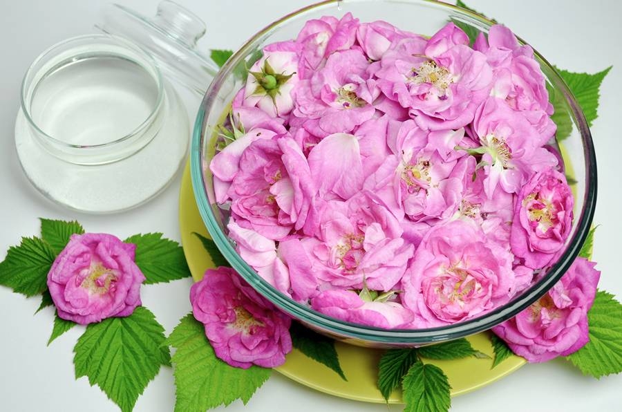 варенье из розовых лепестков рецепт