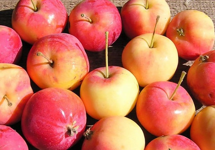 повидло из ранеток на зиму