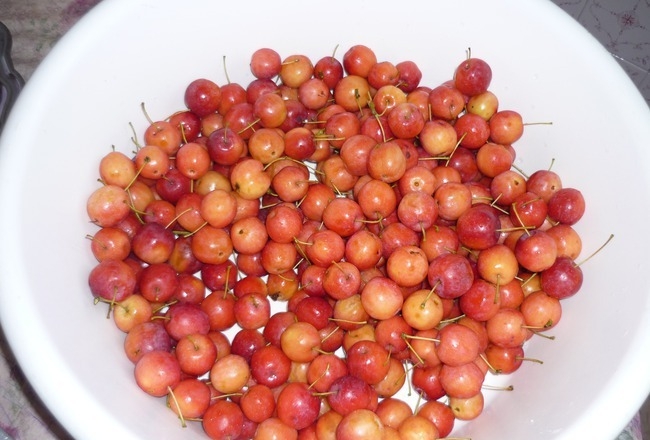 варенье из ранеток целиком