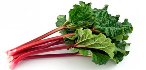 варенье из ревеня рецепты