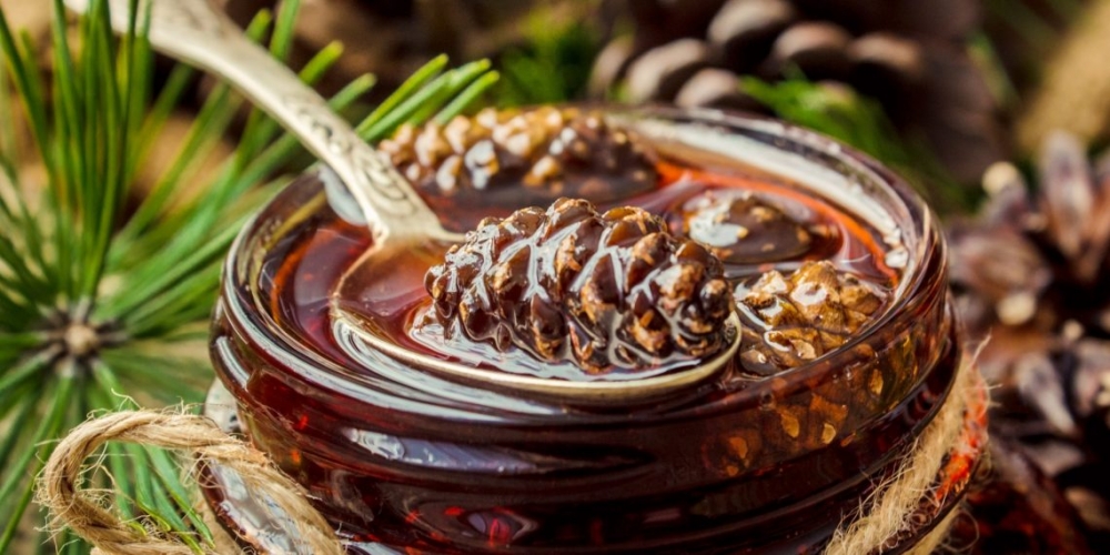 варенье из сосновых шишек польза и противопоказания