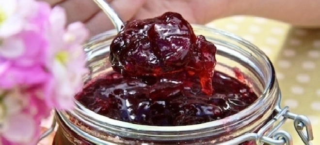 варенье из терна с косточками рецепт