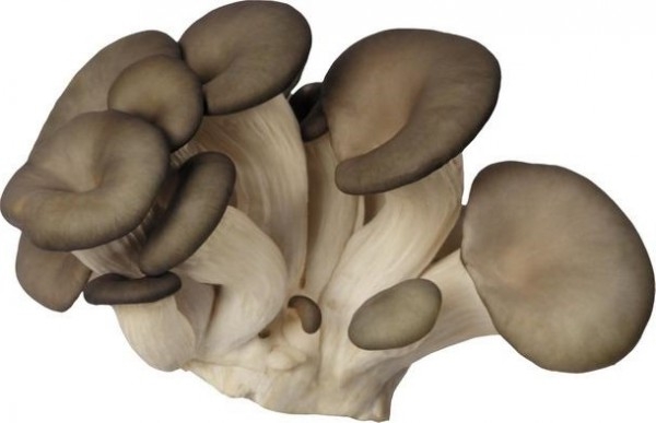 маринованные грибы по корейски