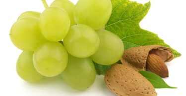 Заготовки из винограда на зиму