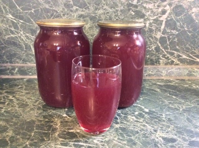 сок из винограда изабелла на зиму