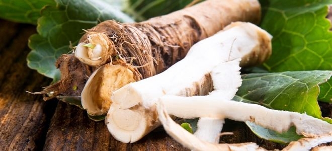 приготовление хрена со свеклой в домашних условиях