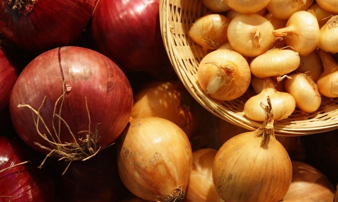 какие овощи можно замораживать