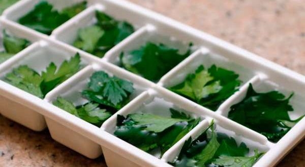 замораживание овощей на зиму