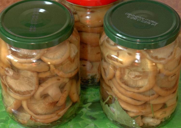 черные грузди на зиму рецепты приготовления