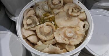 Заготовка груздей на зиму