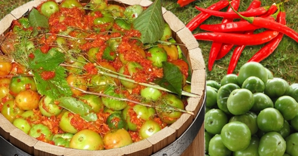 помидоры зеленые квашеные на зиму очень вкусные