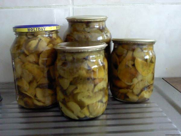 засолка волнушек холодным способом