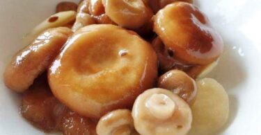 Соленные волнушки