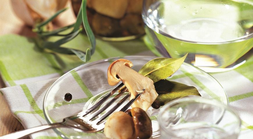 как солить волнушки в домашних условиях