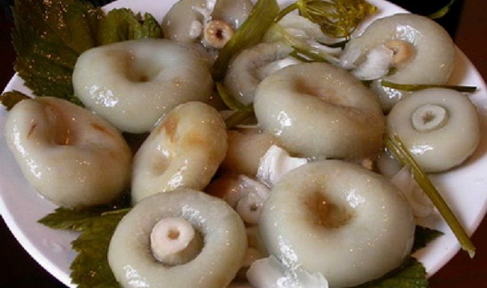 как солить волнушки