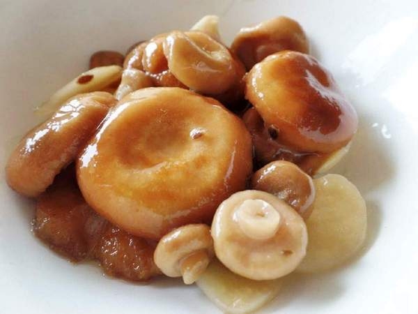 грибы белянки фото и описание как готовить