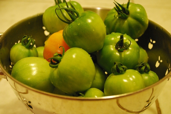 рецепт зеленых помидор по грузински на зиму