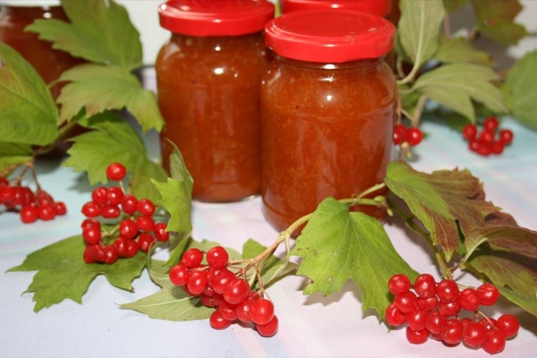 как сделать желе из калины на зиму