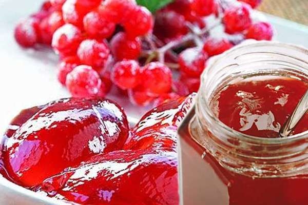 желе из калины рецепт