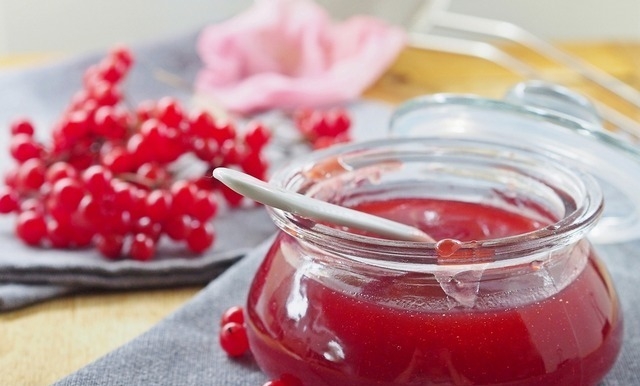 желе из калины на зиму без варки