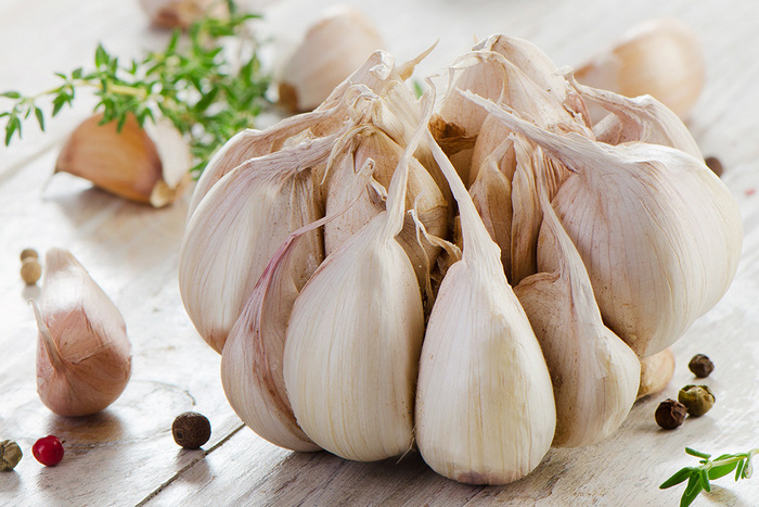 консервация чеснока