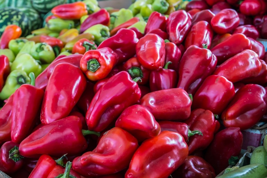 фаршированные перцы на зиму в банках