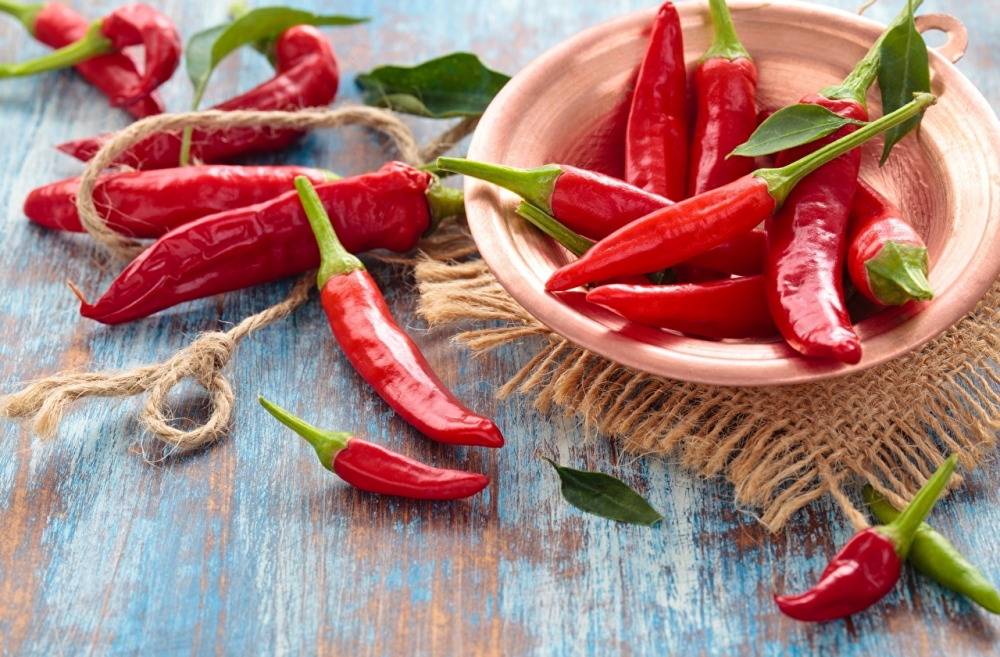 рецепт засолки горького стручкового перца на зиму