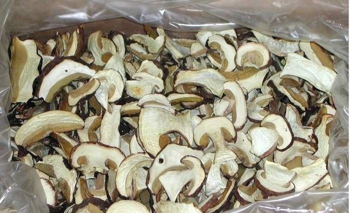 какие грибы можно сушить