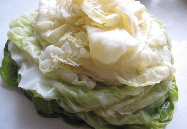 капустный салат с болгарским перцем на зиму