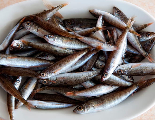 засолить кильку