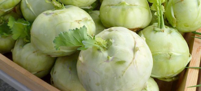 капуста кольраби рецепты приготовления на зиму