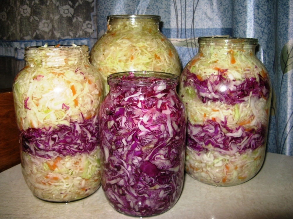 краснокочанная капуста на зиму в банках рецепты