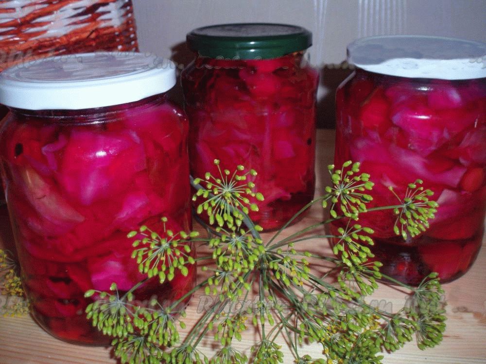 синяя капуста рецепты приготовления на зиму фото