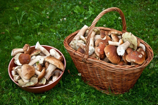 как мариновать песочники на зиму в банках