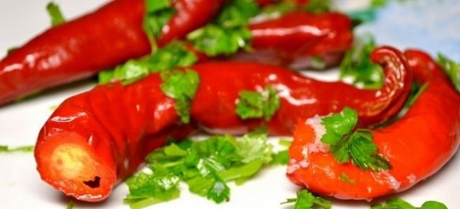 стручковый перец на зиму