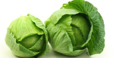 Соление капусты быстрым способом