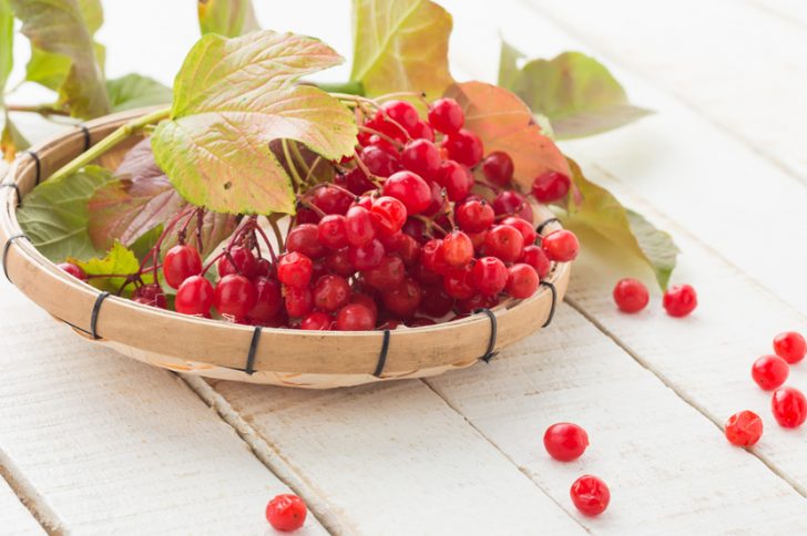 соус из калины к мясу