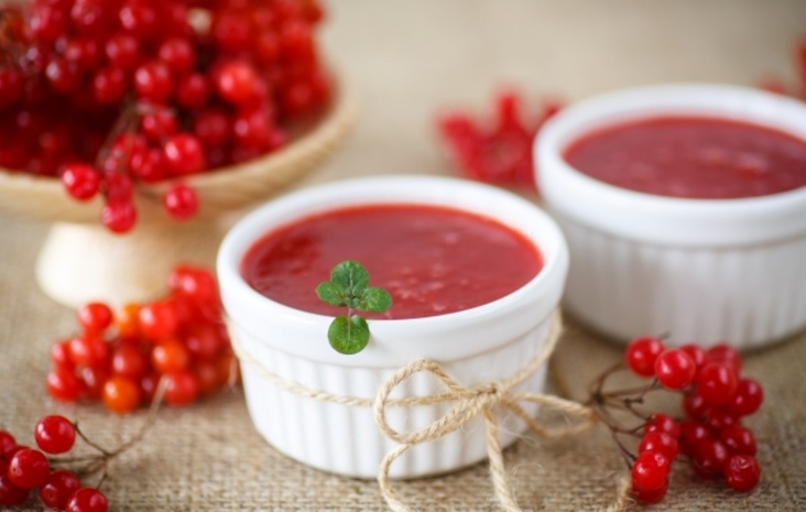 соус из калины к мясу