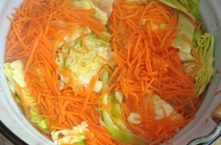 суточная капуста рецепт