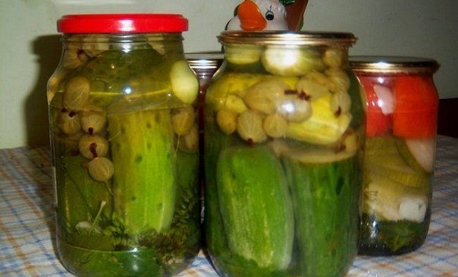 засолка огурцов на зиму хрустящие
