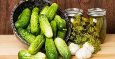 Огурцы соленые на зиму